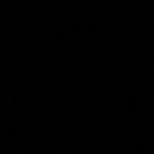 Meet your Posher, Eliza